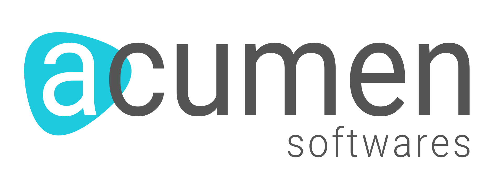 Acumen Softwares